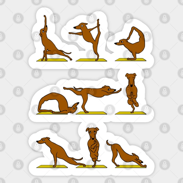 GREYHOUND YOGA Sticker by huebucket